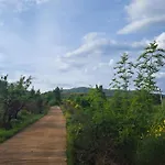 Patara's Saranda