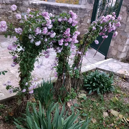 Patara's * Saranda