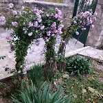 Patara's * Sarandë