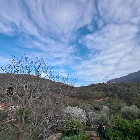 Patara's Séjour chez l'habitant Saranda