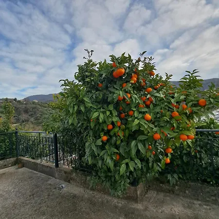 Patara's Sarande