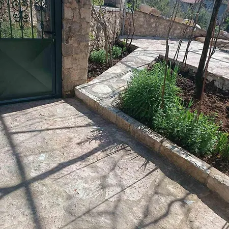 Patara's Sarande