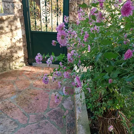 Patara's Séjour chez l'habitant *