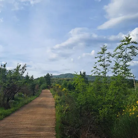 Patara's Sarande