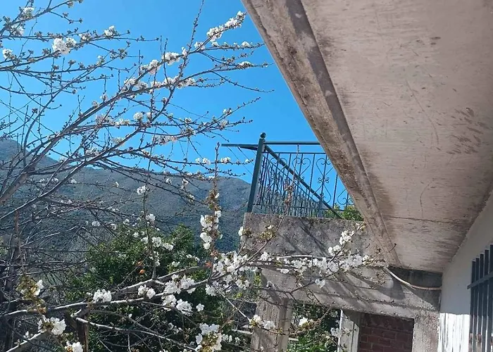 Patara's Sarande
