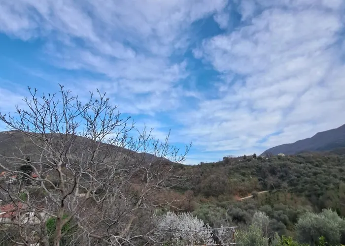 Patara's Pansiyon Saranda