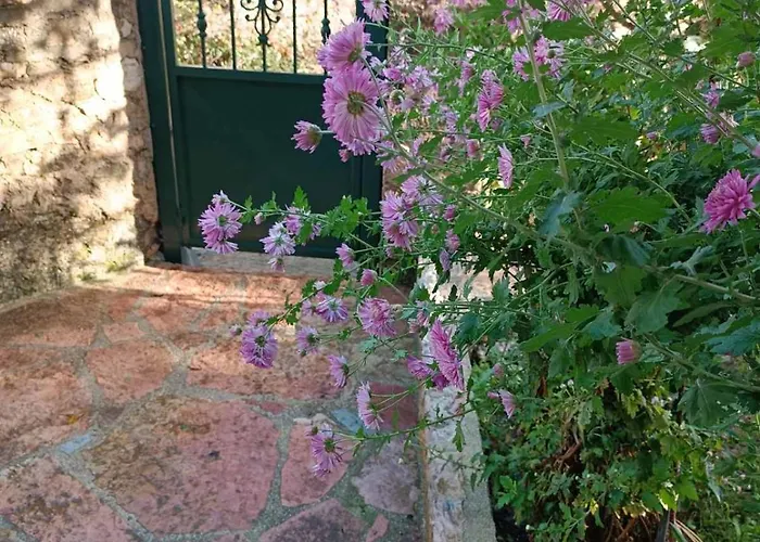 Patara's Séjour chez l'habitant *